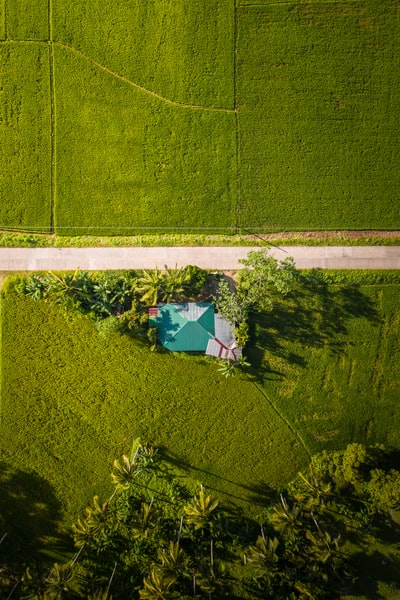 白天绿色草地鸟瞰图